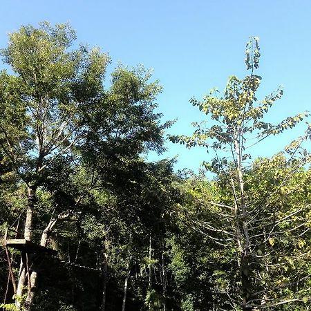 Camp Alfredo Adventure Resort Iloilo City Exterior photo